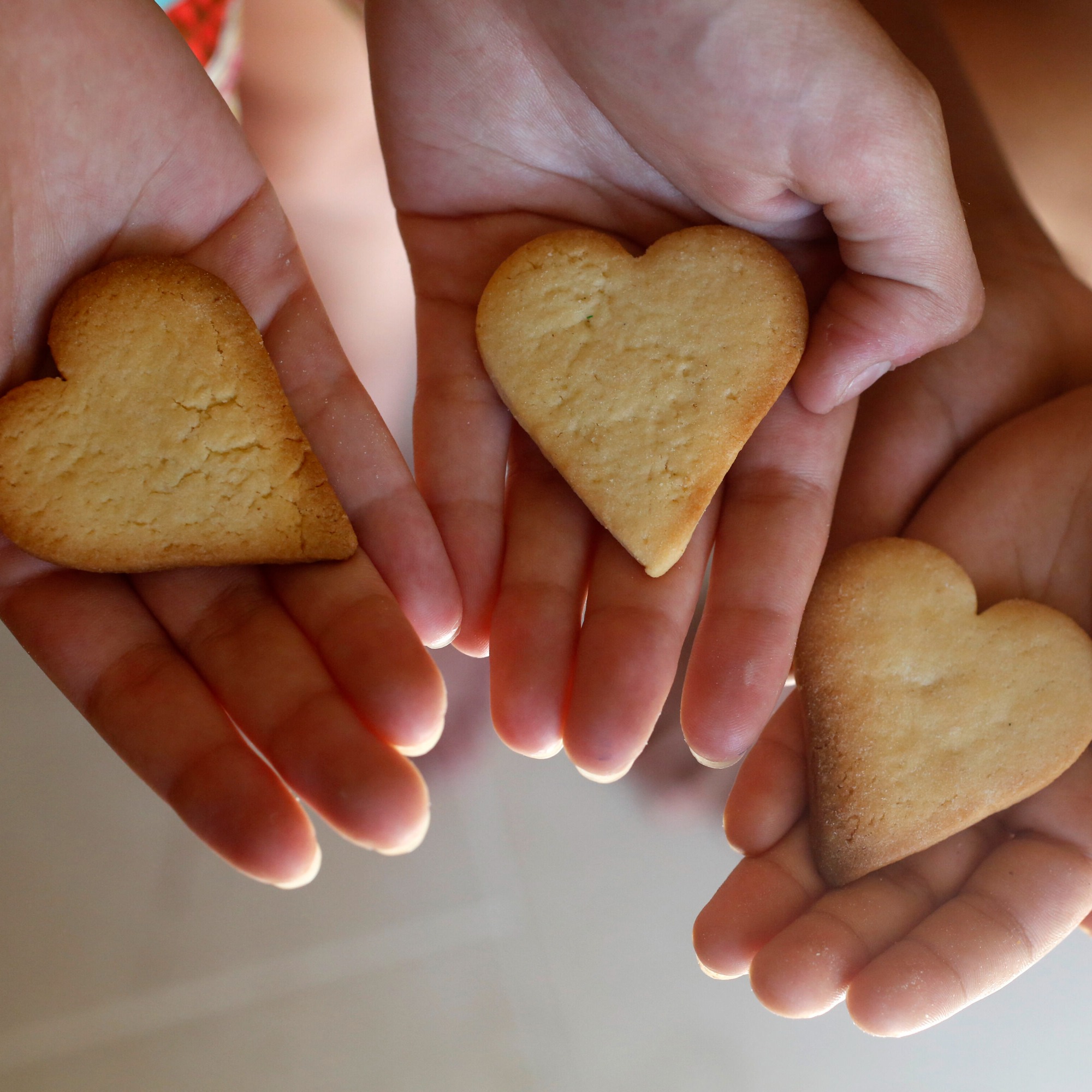 FR509155B-1733837651999